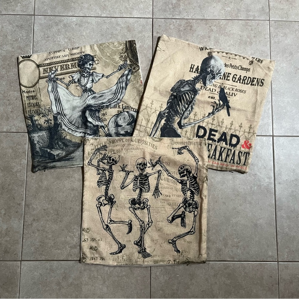 Set Of 3 Halloween Pillow Cases 17”x17” Skulls Skeletons Apothecary